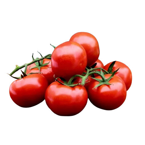 Tomat 1kg